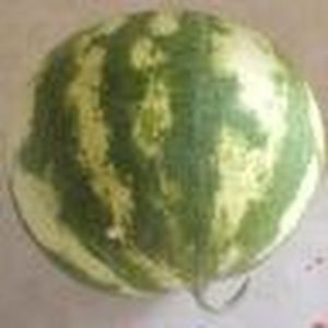 Meet your Posher, Hoang